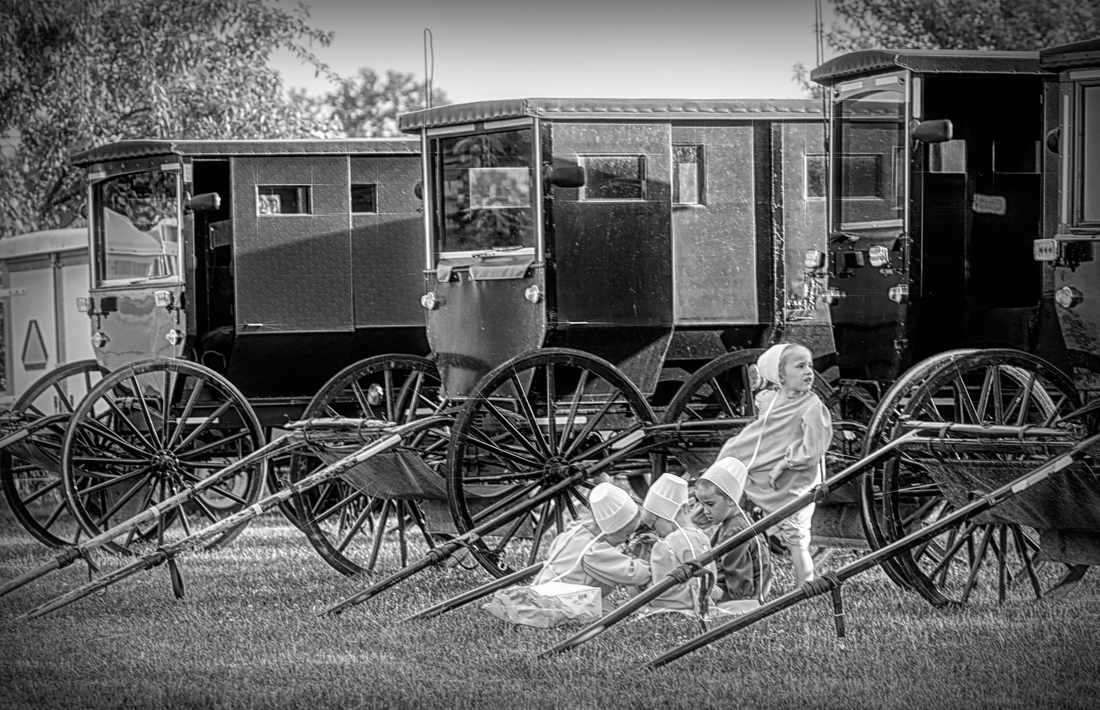 Old Order Amish Children with Buggies