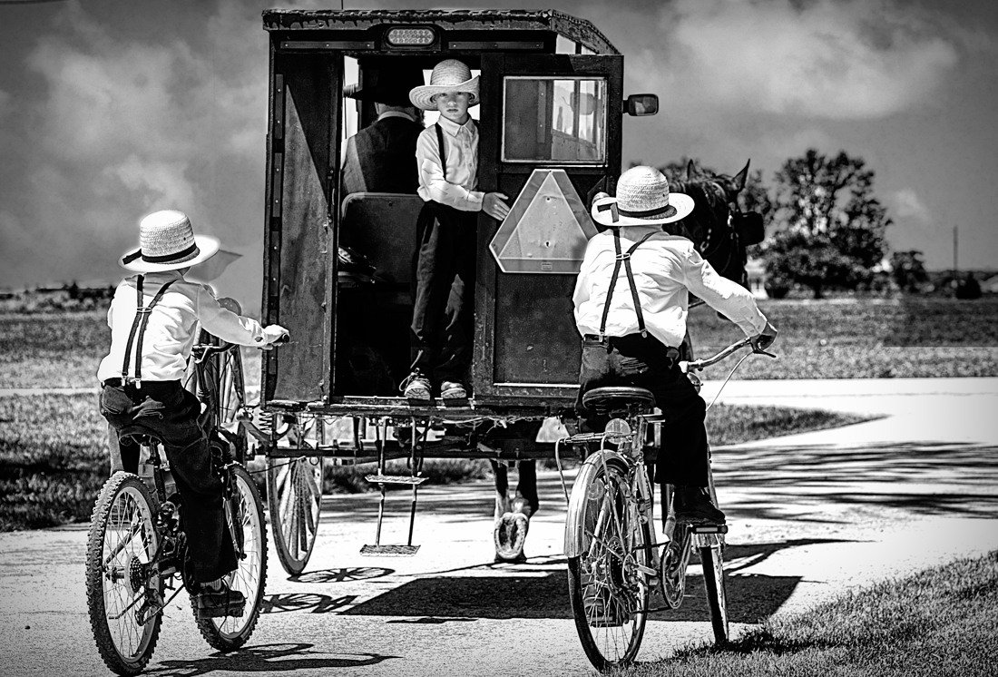 Old Order Amish Children with Buggies