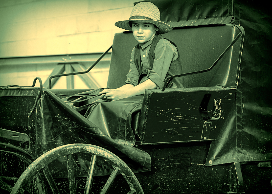 Old Order Amish Children with Buggies