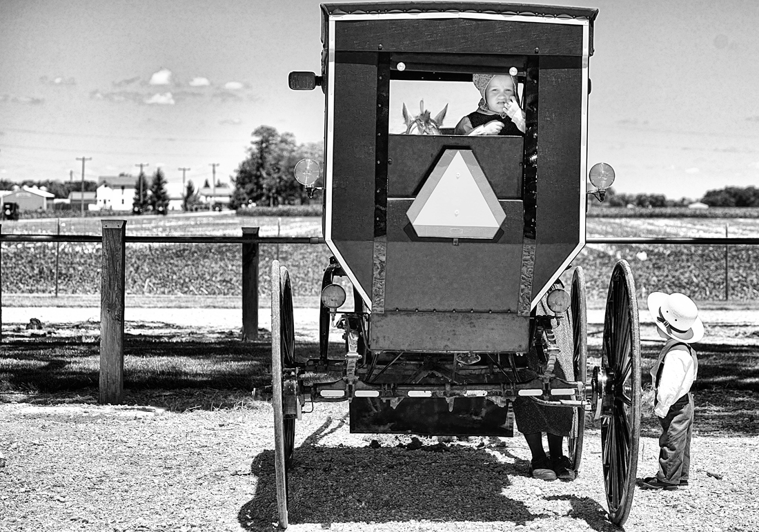 Old Order Amish Children with Buggies