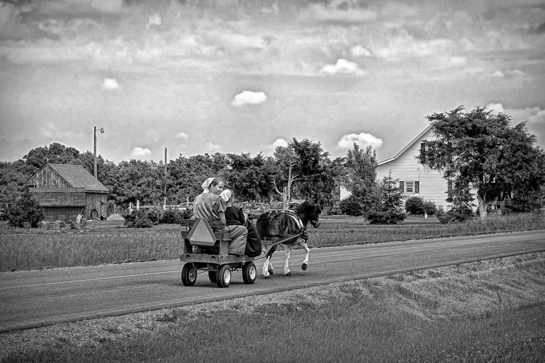 Old Order Amish Children with Buggies