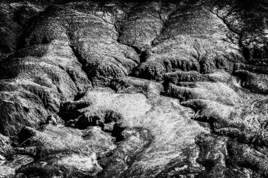 Dry Land