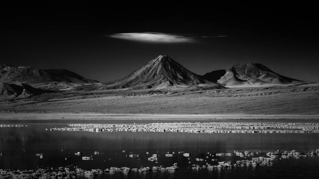 Dry Land
