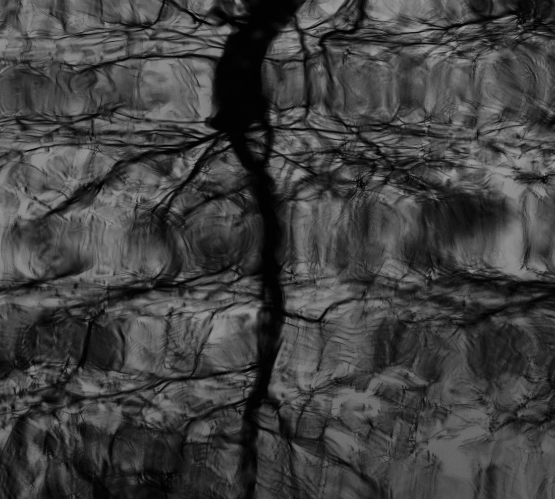 Nature  My Inspiration