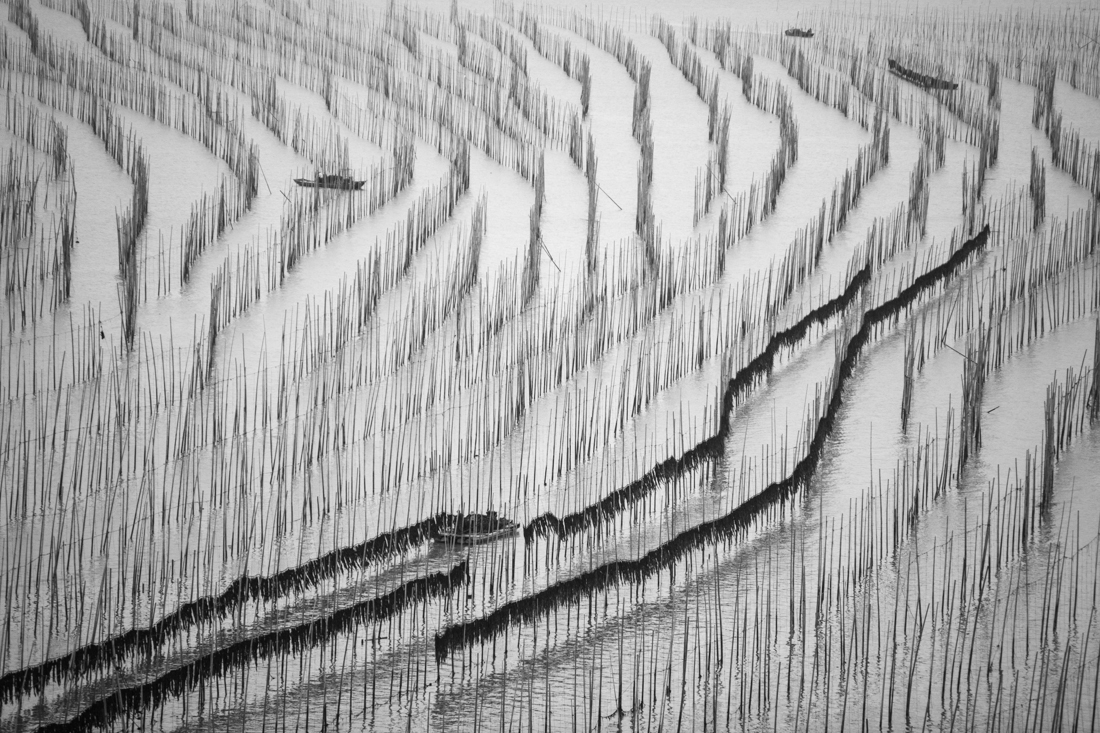 Toilers of the sea - Sea harvesting in Fujian, China