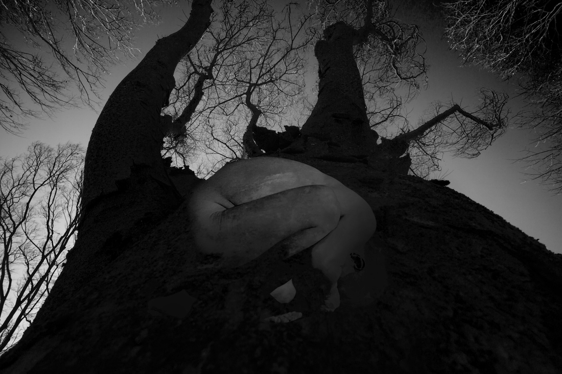 I want to be a tree