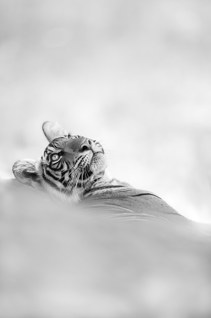 Thinking