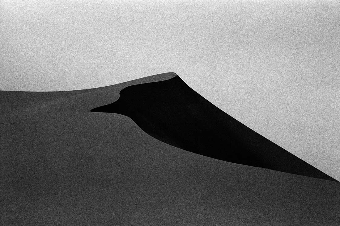 DESERTS: MY CANVASS