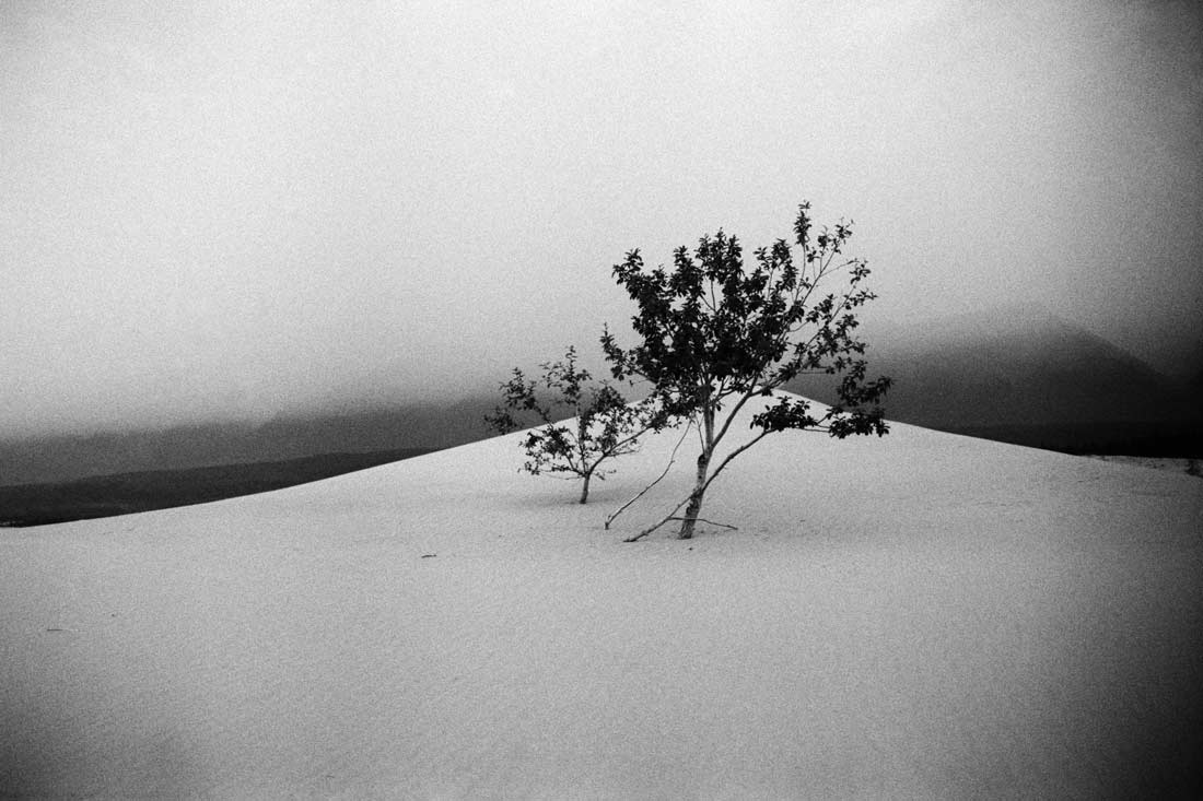 DESERTS: MY CANVASS