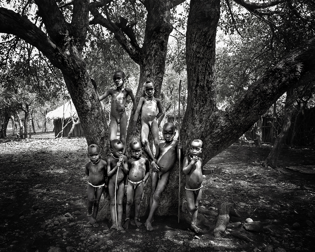 The Tribal Tree