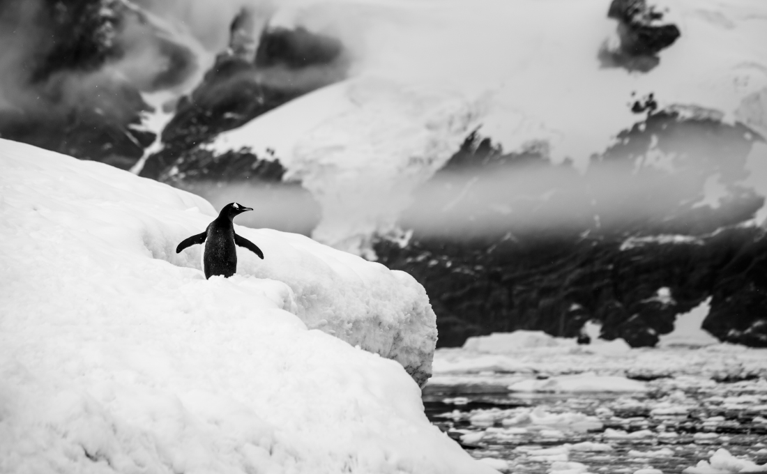 Antarctica