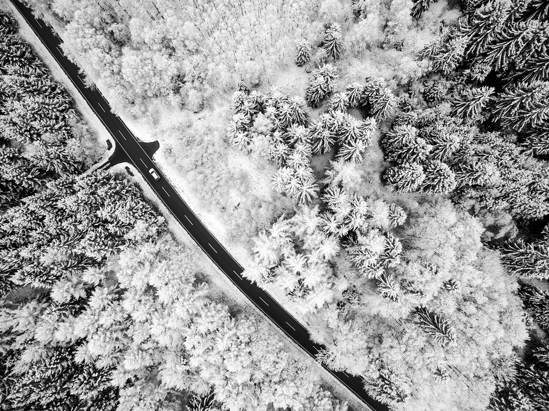 Winter dream