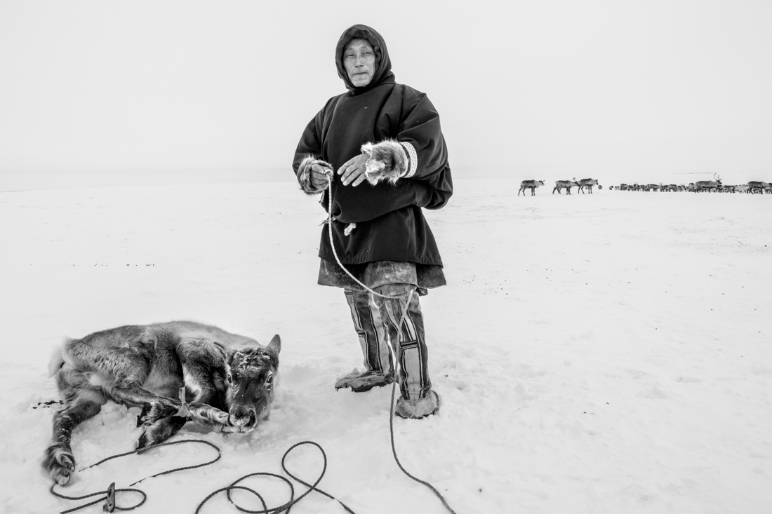Yamal