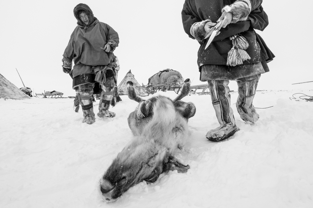 Yamal