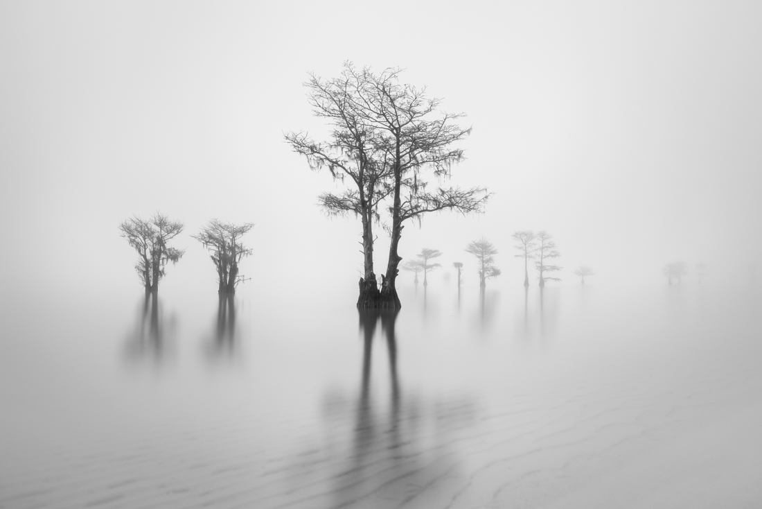 Fog over Lake Moultrie