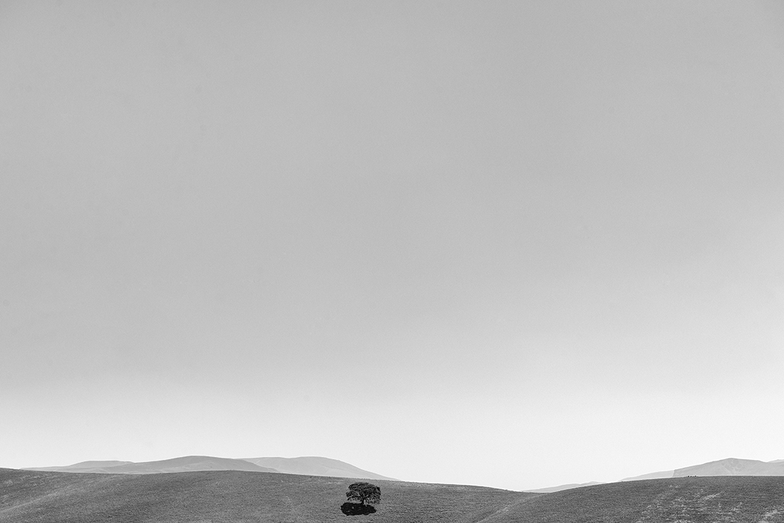 Horizons Terre
