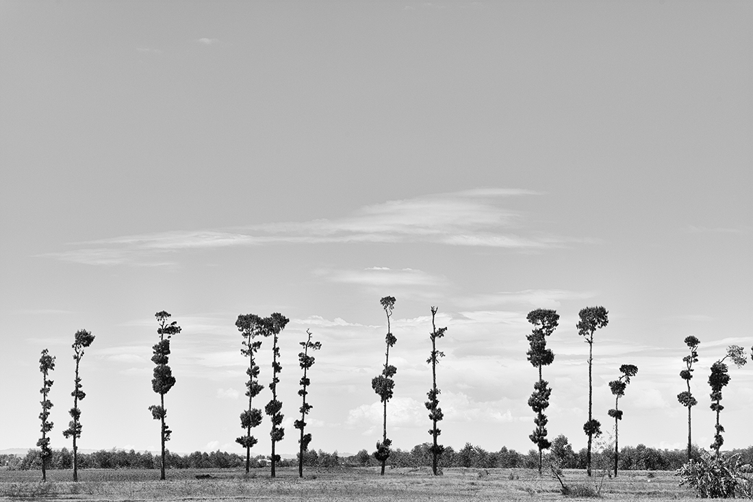 Horizons Terre