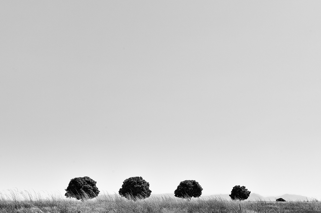 Horizons Terre