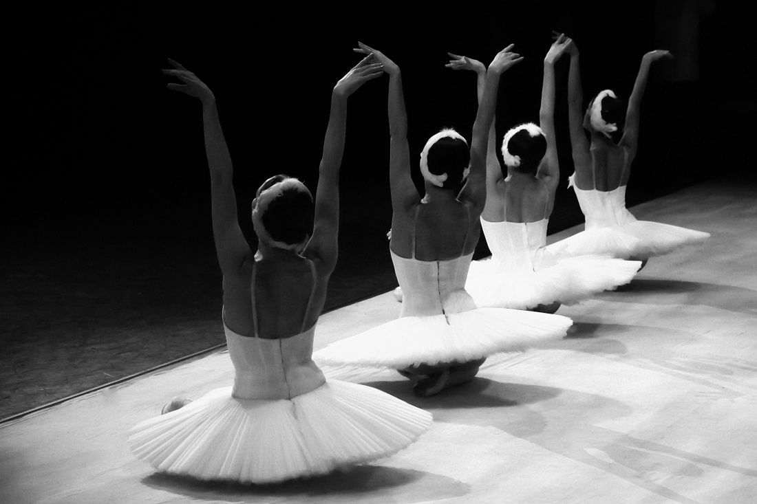 About swans