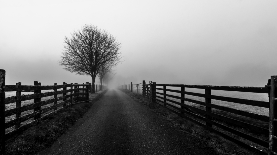 Winter road