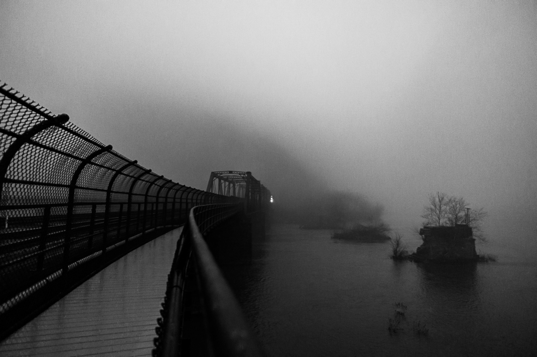 Into the Fog