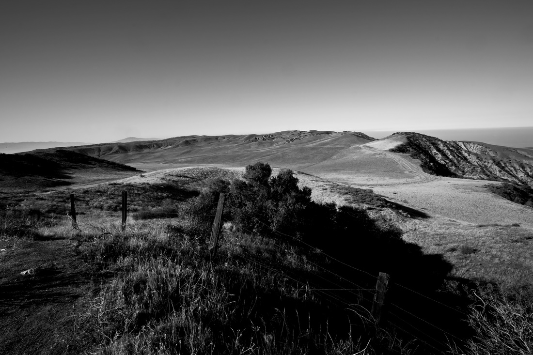 Hard Light: Visions of Southern California