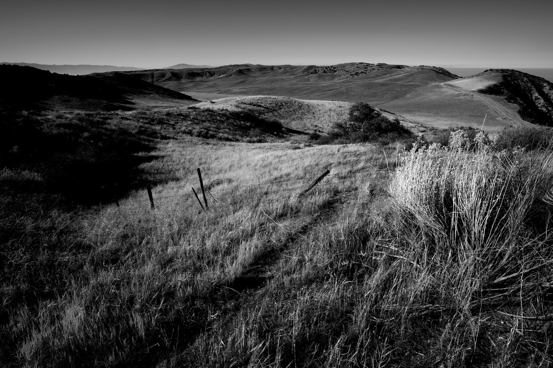 Hard Light: Visions of Southern California