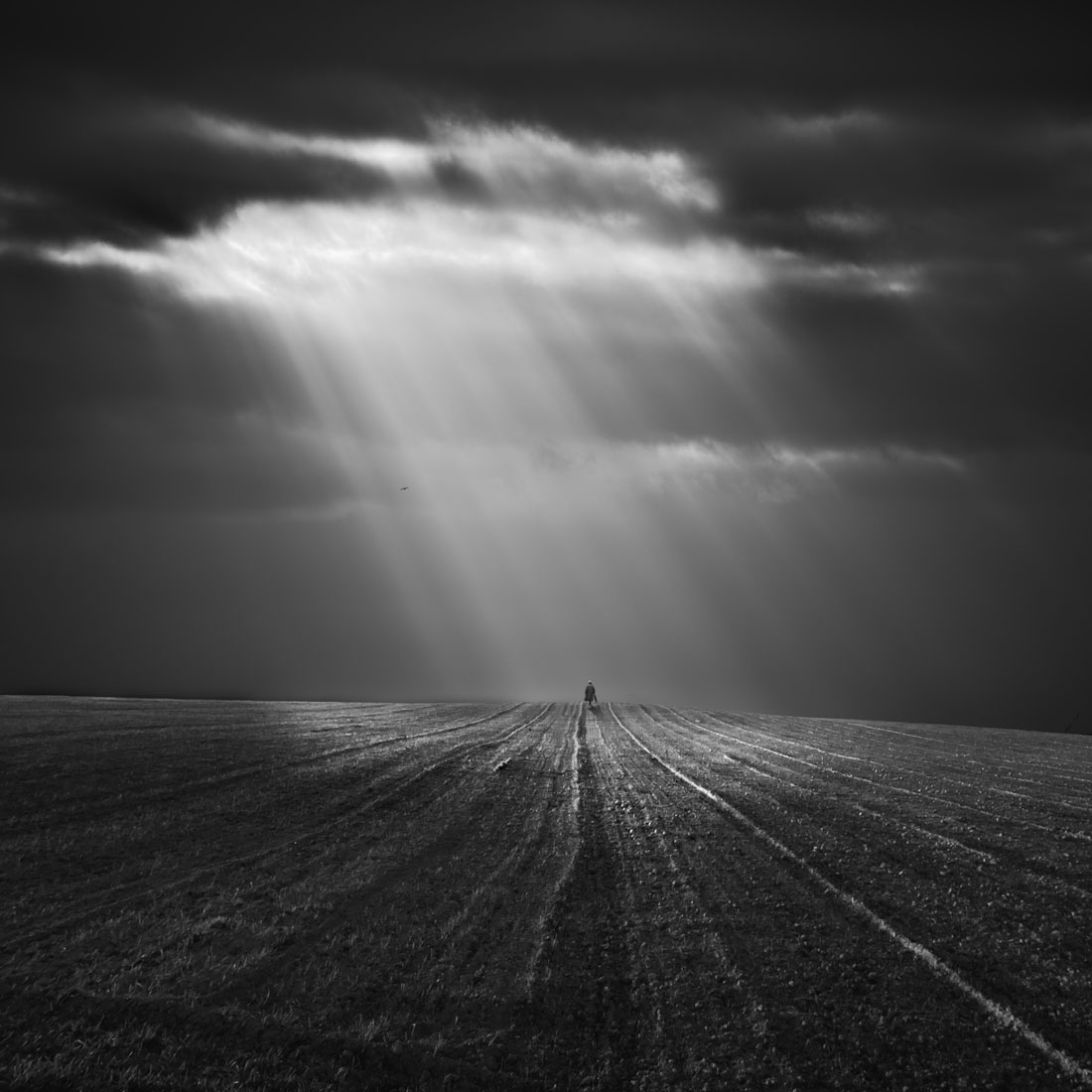 The long way