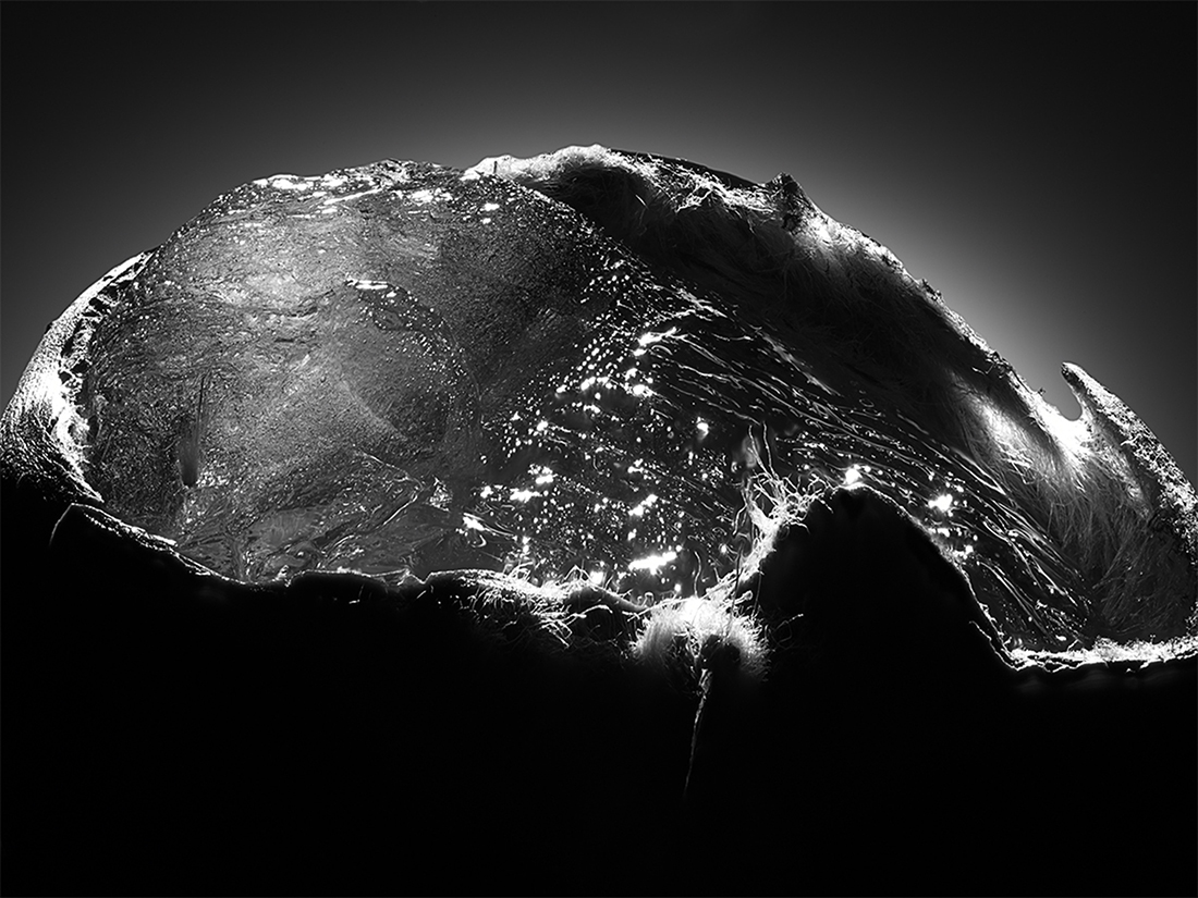 PIENA TERRA