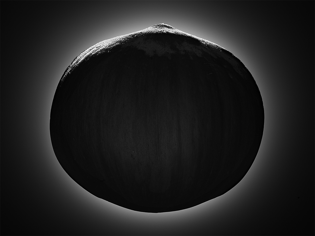 PIENA TERRA