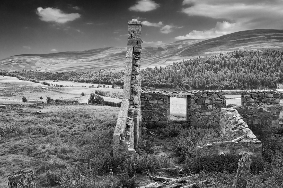 abandoned houses