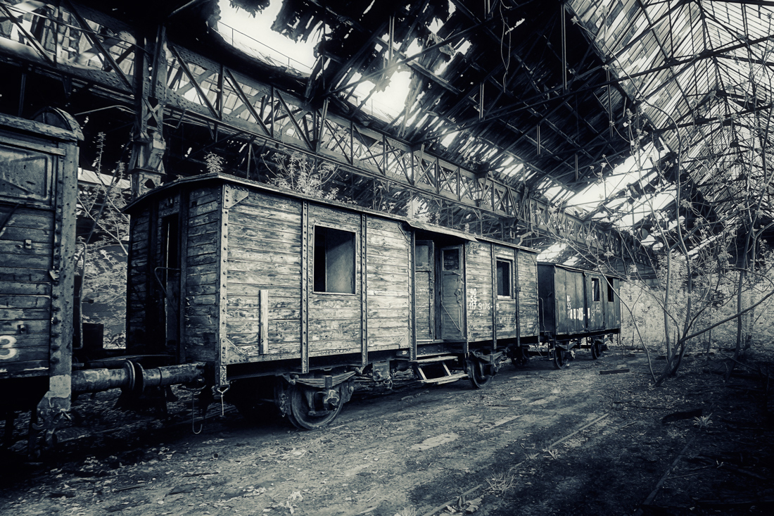 Forgotten world