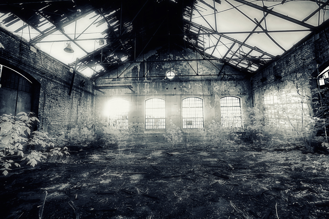 Forgotten world