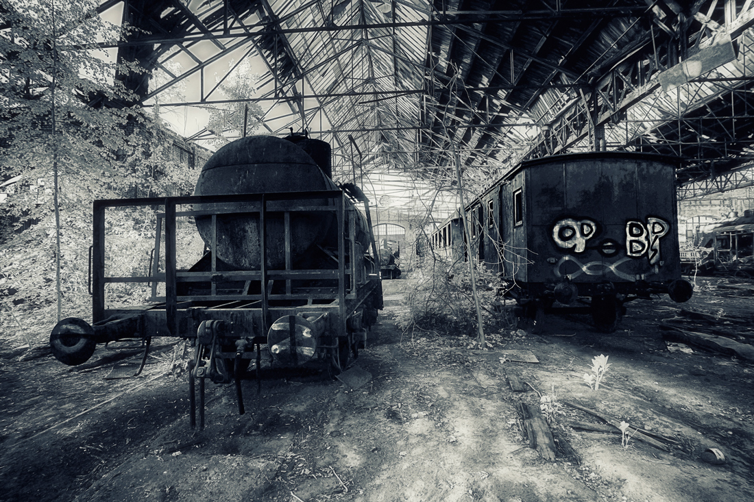 Forgotten world
