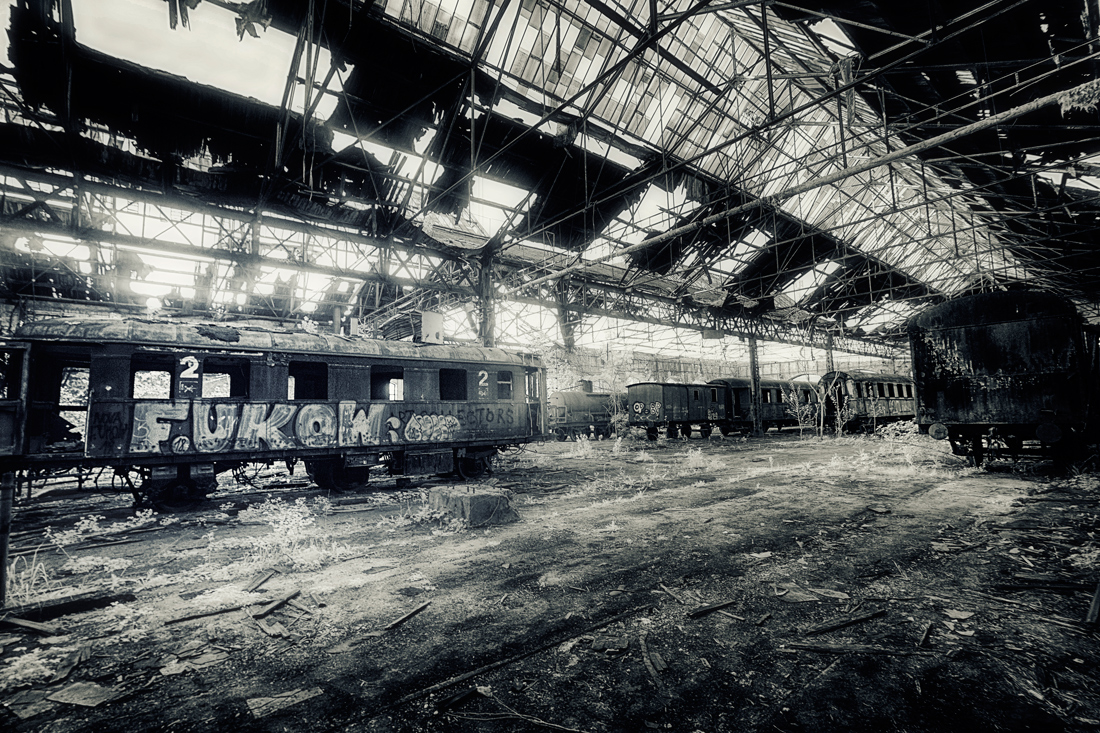 Forgotten world