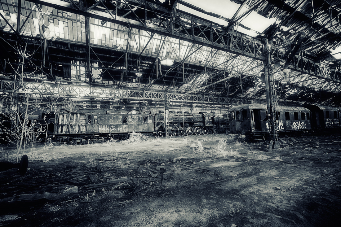 Forgotten world