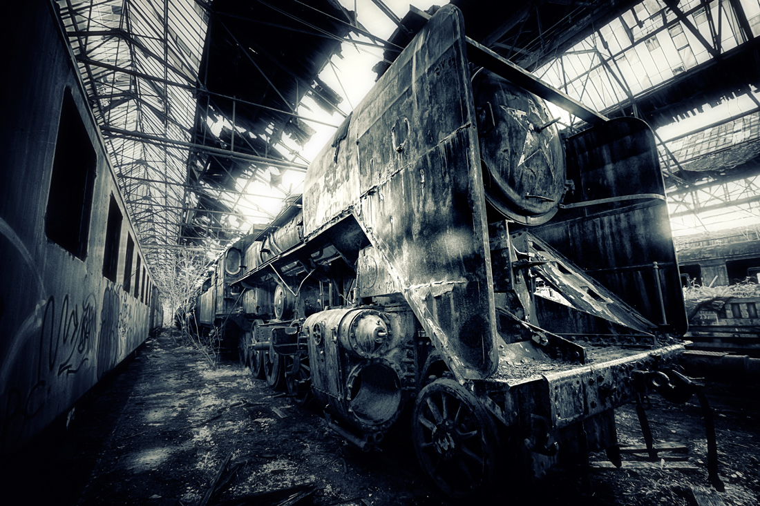 Forgotten world