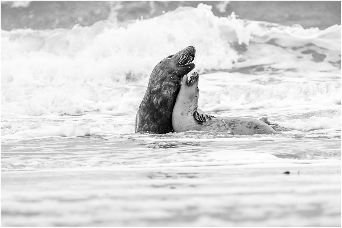lovemaking