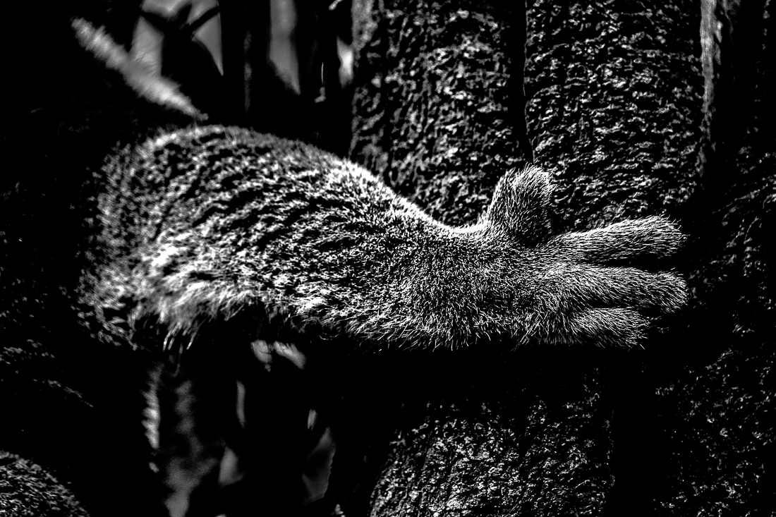 Holding On