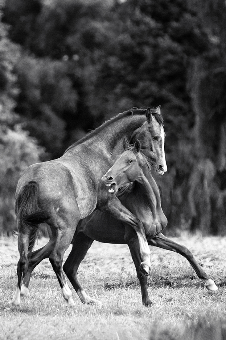 Touch of wilderness