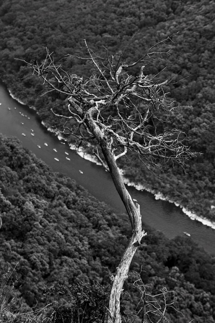 Landscape Gorge de Ardeche