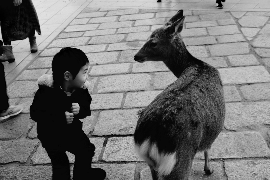 UNFREE DEER