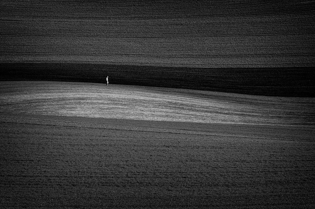 Monoculture.