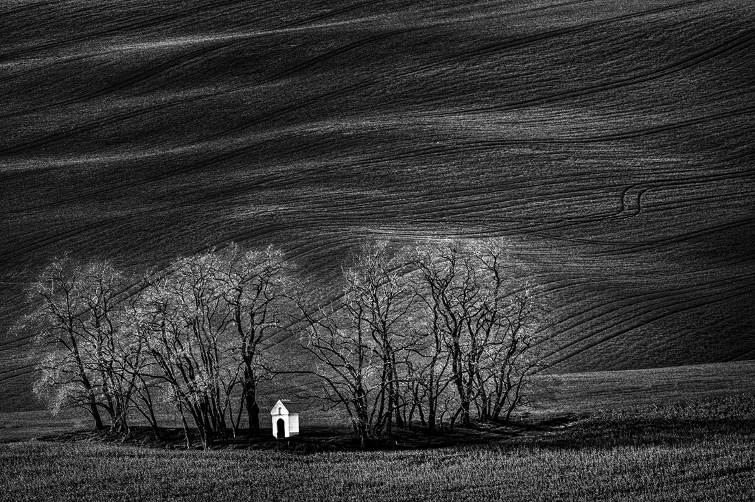 Monoculture.