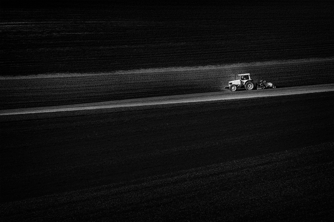 Monoculture.