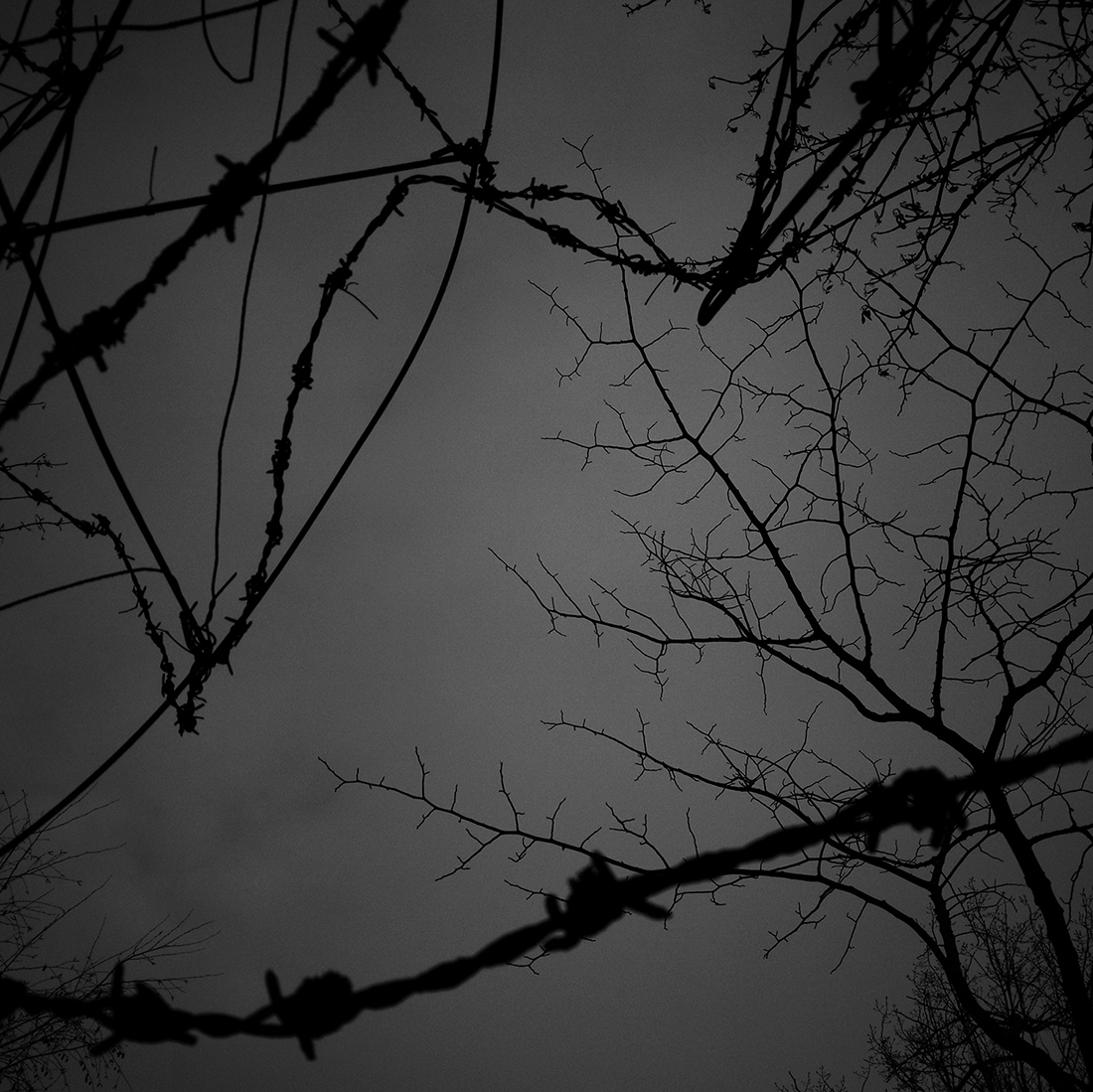 The elegance of your absences 
