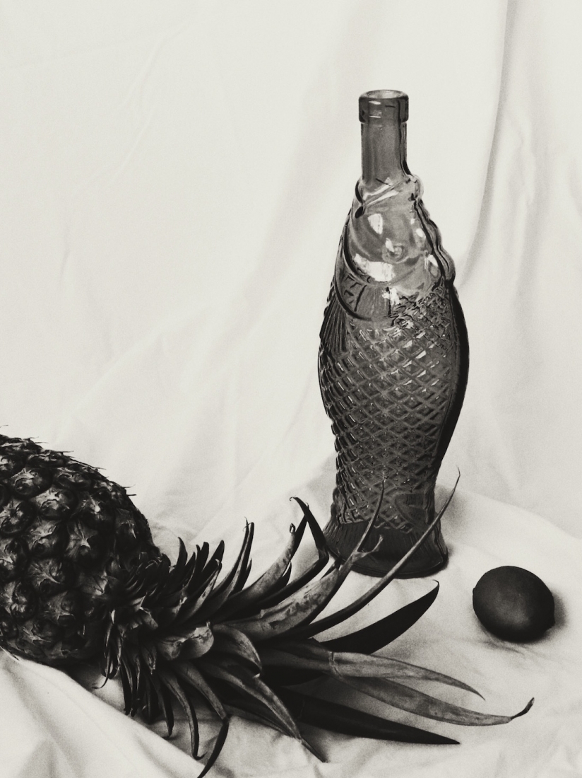 Fruits of Life