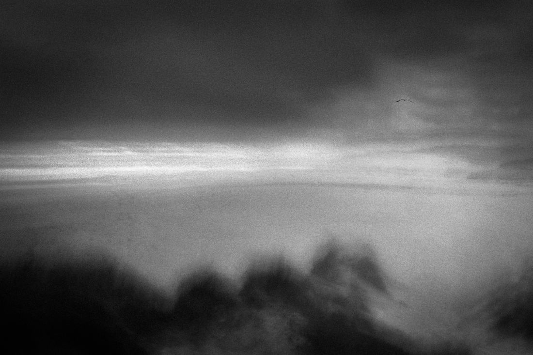 Winter dream in black and white