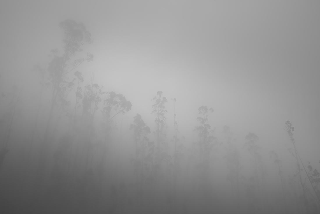 Scene of silence