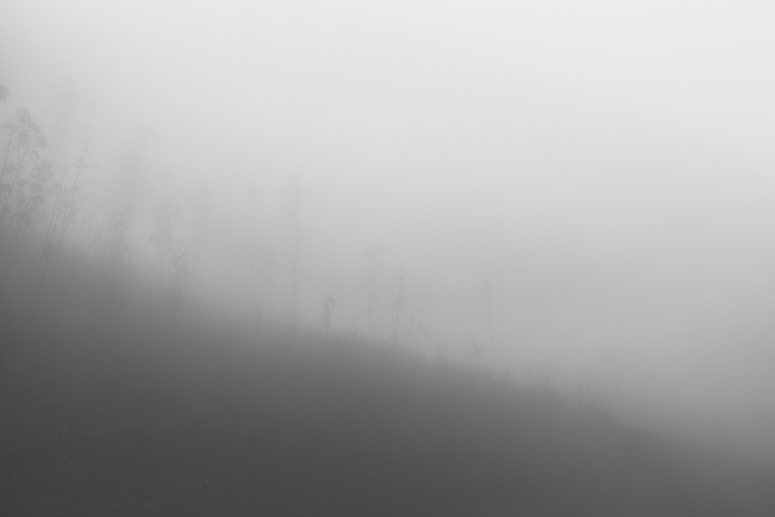 Scene of silence
